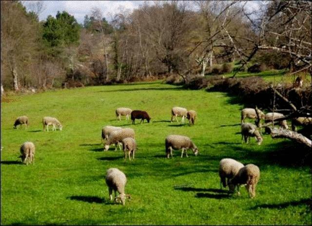 Отель Quinta Do Lagar Da Moira Vila Franca da Serra Экстерьер фото