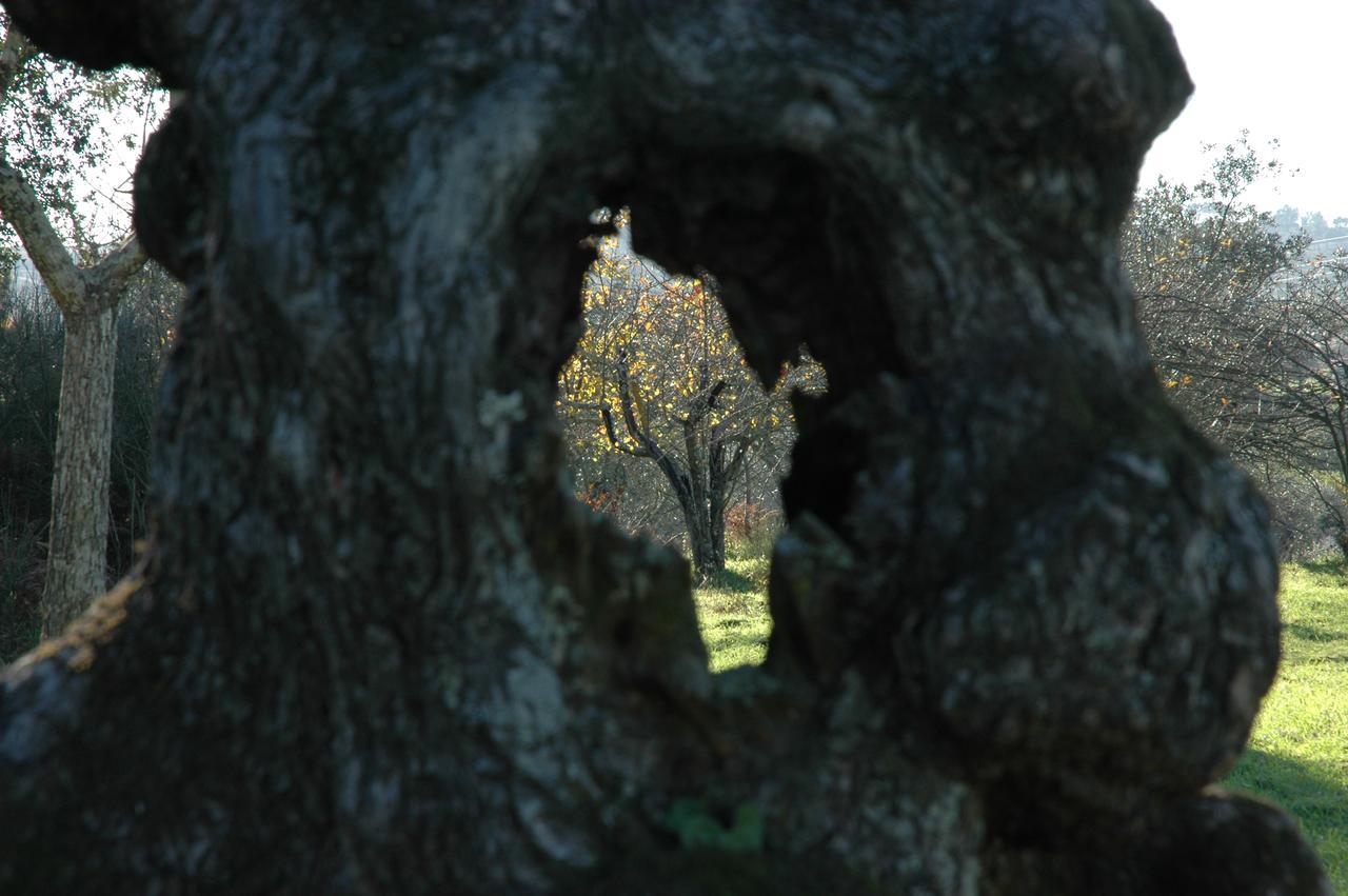 Отель Quinta Do Lagar Da Moira Vila Franca da Serra Экстерьер фото